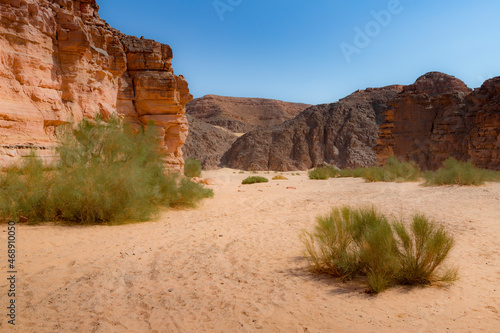 Red Canyon in the Senai Peninsula Desert