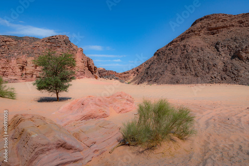 Red Canyon in the Senai Peninsula Desert