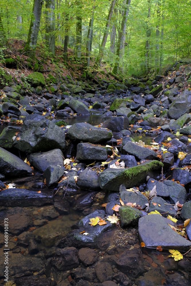 Der Eisgraben im Naturwaldreservat Eisgraben bei Hausen in der Rhön, Biosphärenreservat Rhön, Unterfranken, Franken, Bayern, Deutschland. Der Eisgraben im Naturwaldreservat Eisgraben bei Hausen in der Rhön, Biosphärenreservat Rhön, Unterfranken, Franken, Bayern, Deutschland.