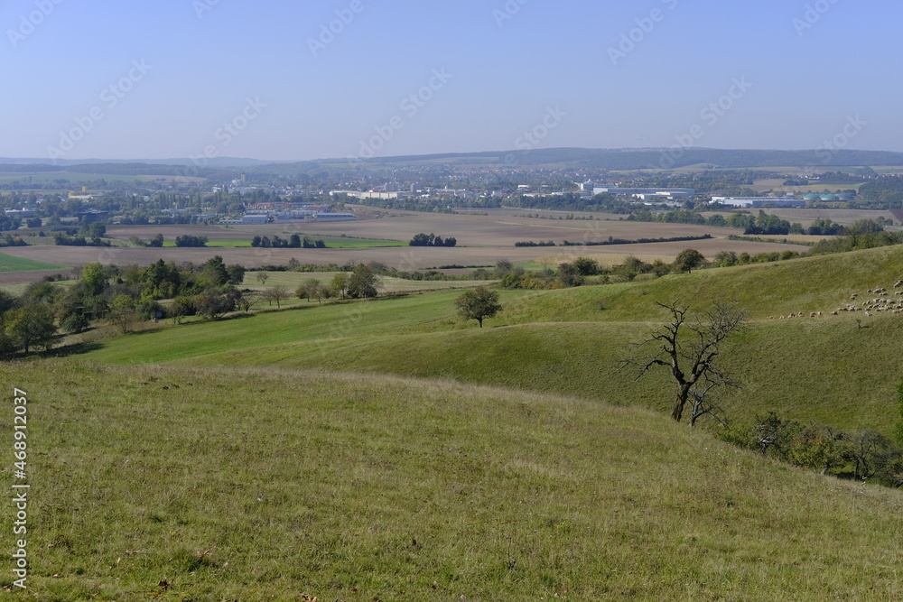 Fototapeta premium Landschaft im Naturschutzgebiet Hohe Wann zwischen Zeil am Main und Krum, Landkreis Hassberge, Unterfranken, Franken, Bayern, Deutschland