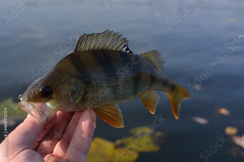 Fishing on the river, catch.