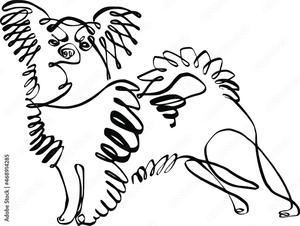 vector illustration The Papillon dog 