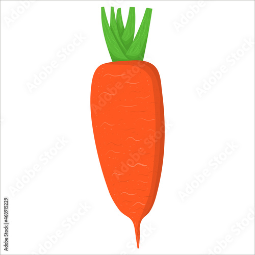 Cartoon illustration with colorful carrot root. Farm market product. Vector hand drawn graphic. Single isolated art.