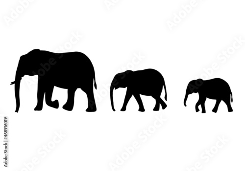 Set of silhouettes of elephants mom and babies isolated on white background