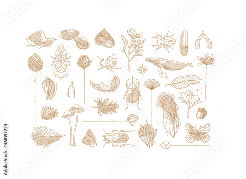 Obraz na płótnie Art Deco flora fauna elements w salonie