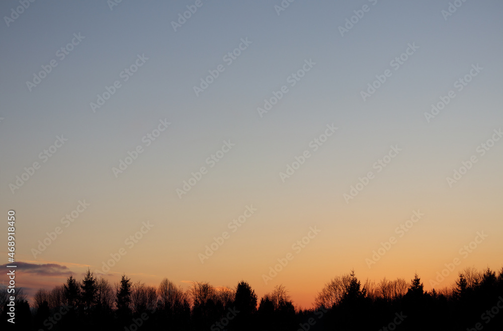 Fototapeta premium 夕暮れ 冬 木 空