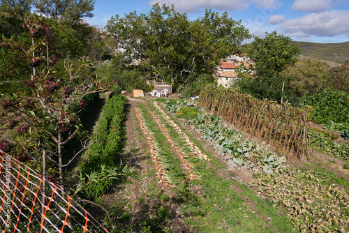 A vegetable garden on the slopes of Mount Moncayo in Zaragoza, Spain.