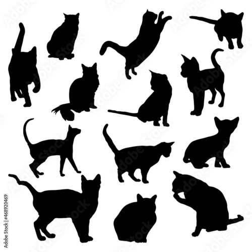 Cat Silhouettes Vector Shapes Set Pet Animals Play Black Shadows Cutouts Meow Kitten Illustration Icon