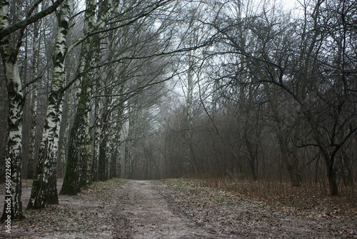An empty sand pathway in a city park in a murky day