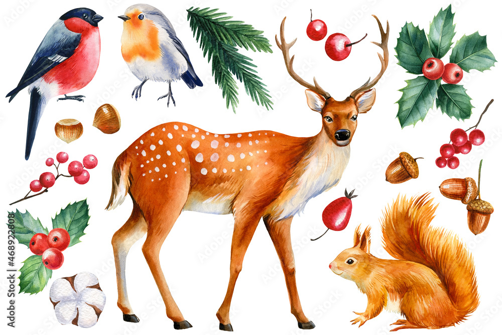 Naklejka premium Winter animals on a white background, squirrel, bullfinch, robin and deer. Watercolor parnting