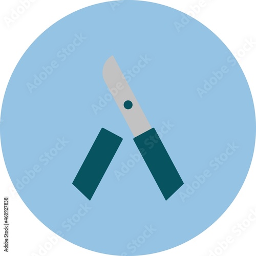 Prune Flat Circle Vector Icon Design