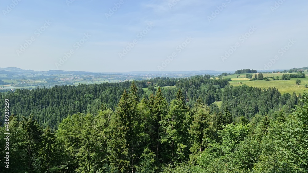 Nature near Geratser waterfall in Germany