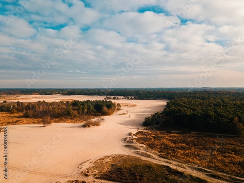 Aerial drone view of the sand dune landscape in the Netherlands, Europe.
