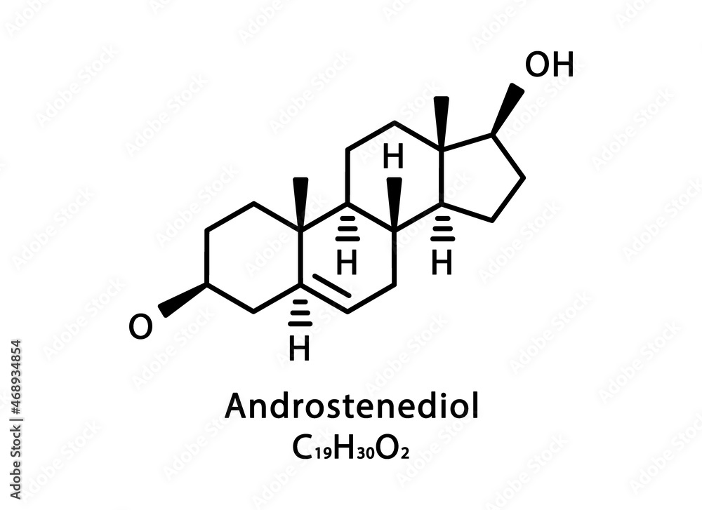 Androstenediol molecular structure. Androstenediol skeletal chemical formula. Chemical molecular formula vector illustration Androstenediol molecular structure. Androstenediol skeletal chemical formula. Chemical molecular formula vector illustration