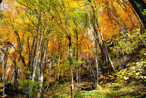 Herbst 2021 Doos und Veitsberg