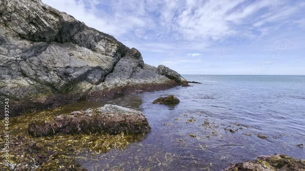 Interesting 4K video of the damage to the local kelp seaweed beds by recent storms.The kelp is washing around coastal rocks. Interesting 4K video of the damage to the local kelp seaweed beds by recent storms.The kelp is washing around coastal rocks.