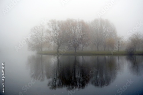 Autumn fog. November in the park by the water. Mystic. Reflection. Horizontal view