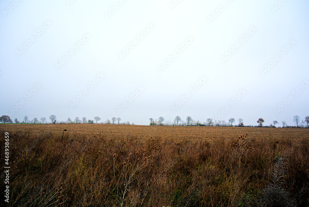 Herbst 2021 Doos und Veitsberg