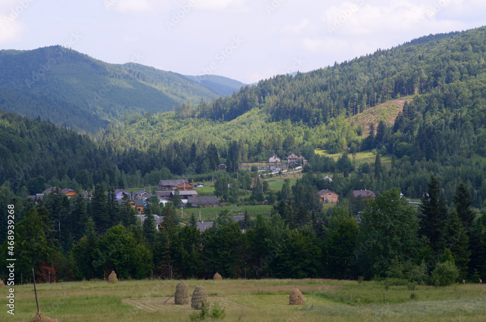 Carpathian village: country houses, gardens, forest and mountains, Lugi village, Ukraine
