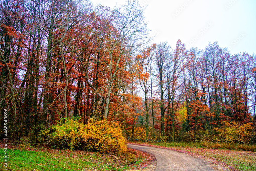 Herbst 2021 Doos und Veitsberg