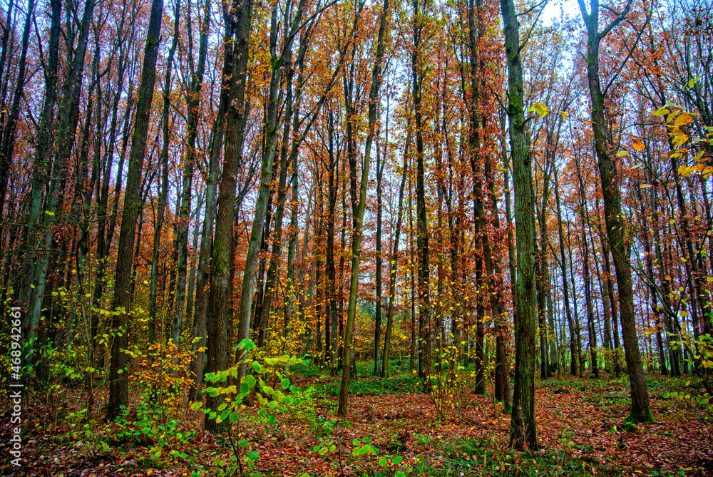 Herbst 2021 Doos und Veitsberg Herbst 2021 Doos und Veitsberg