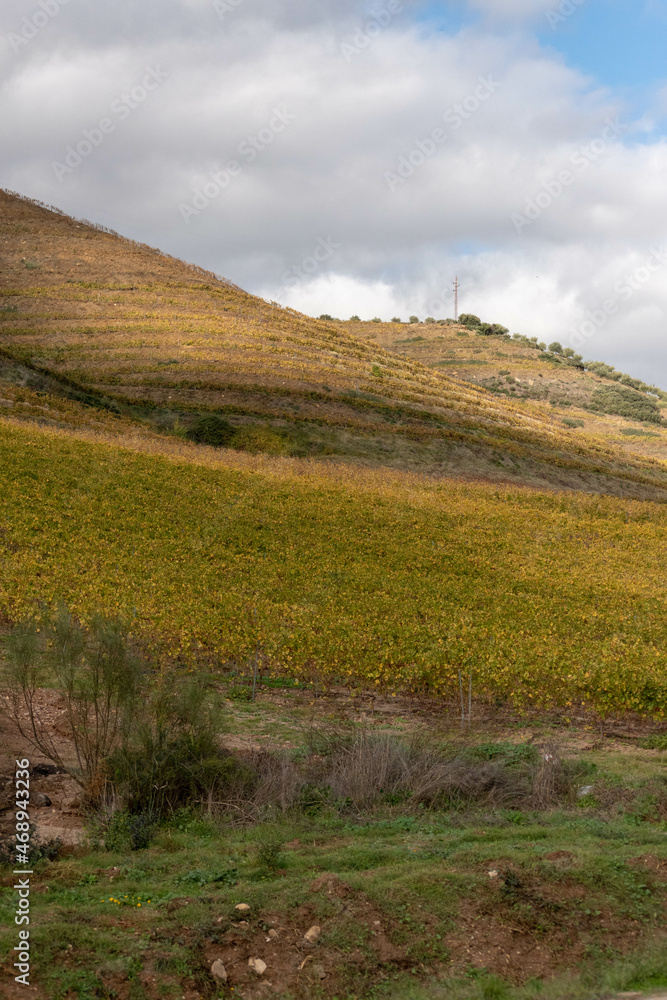 Naklejka premium Outono, Douro Valley, 2021
