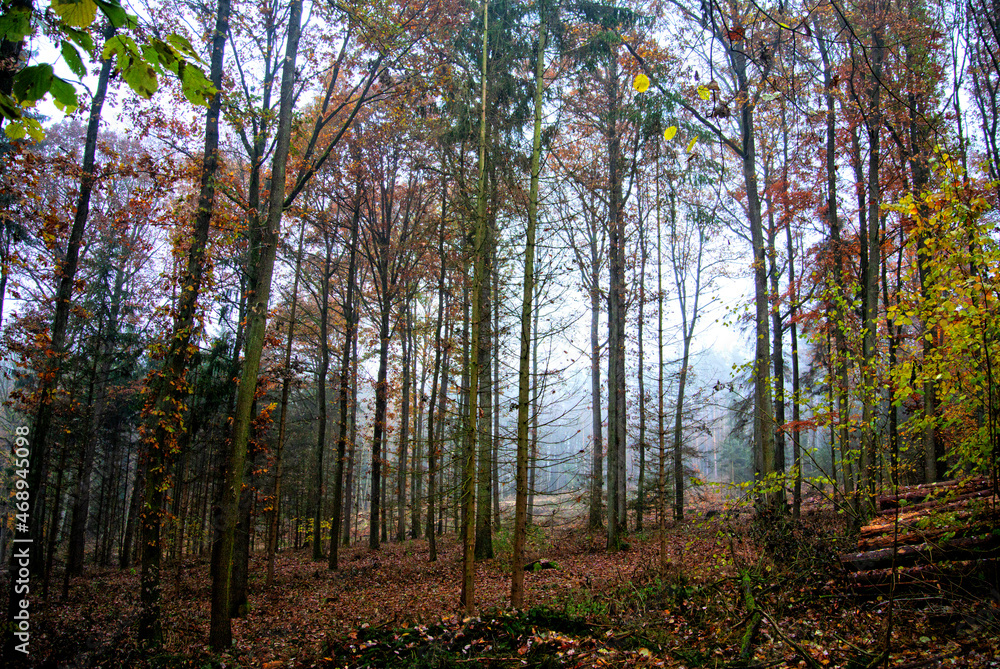 Fototapeta premium Herbst 2021 Doos und Veitsberg