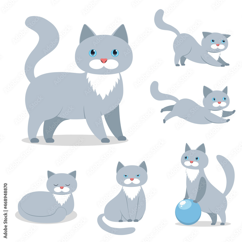 grey cat in various situations vector illustration