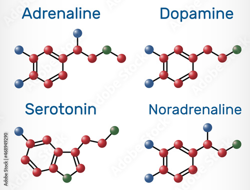 Adrenaline (epinephrine), dopamine ( DA), serotonin, norepinephrine (noradrenaline) molecules. Monoamine neurotransmitters, neuromodulators, medications