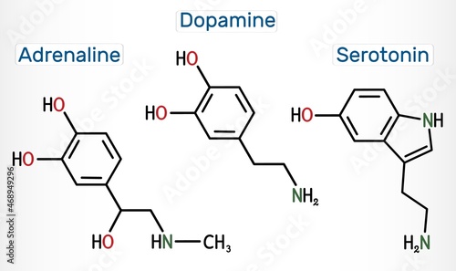 Adrenaline (epinephrine), dopamine ( DA), serotonin molecules. Monoamine neurotransmitters, neuromodulators, medications. Structural chemical formula. Vector illustration

 photo