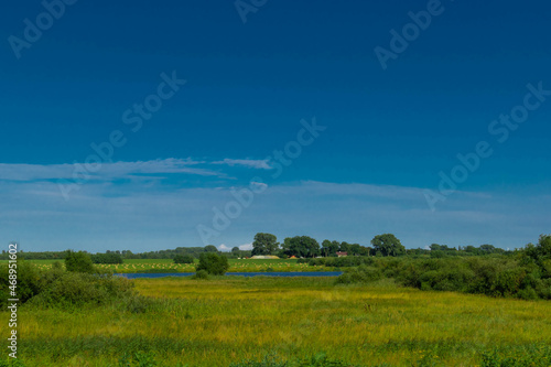 landscape with grass and sky