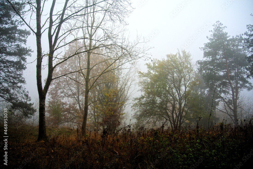 Herbst 2021 Doos und Veitsberg Herbst 2021 Doos und Veitsberg