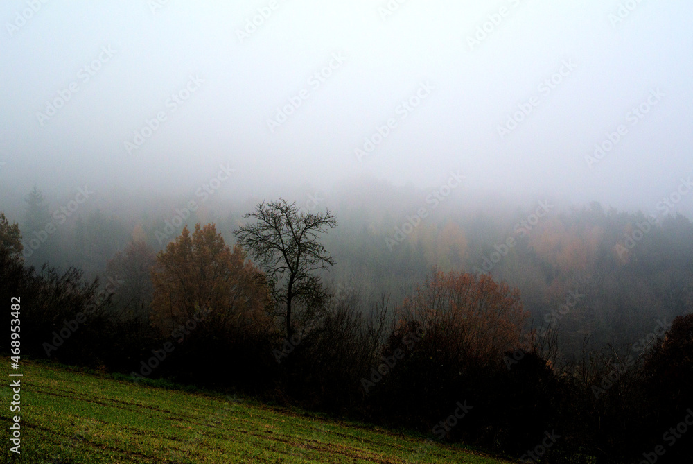 Obraz premium Herbst 2021 Doos und Veitsberg