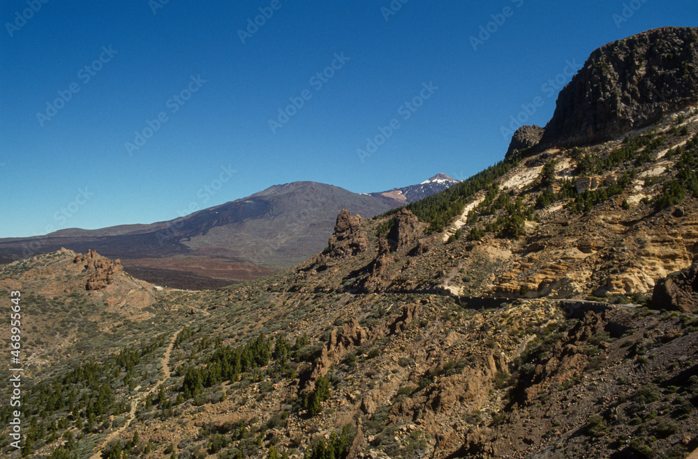 Parc national, Volcan Teide, Ile  de Tenerife, Iles Canaries, Espagne