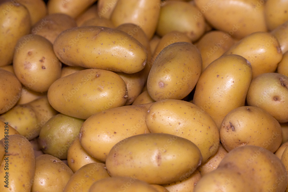 close up of fresh organic baby potatoes in market close up of fresh organic baby potatoes in market