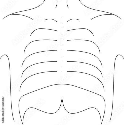 hospital icon ribs and skeleton