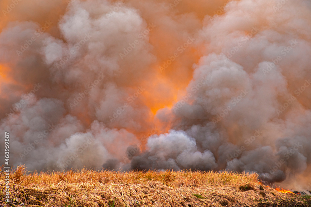 smoke pattern background of fire burn in grass fields
