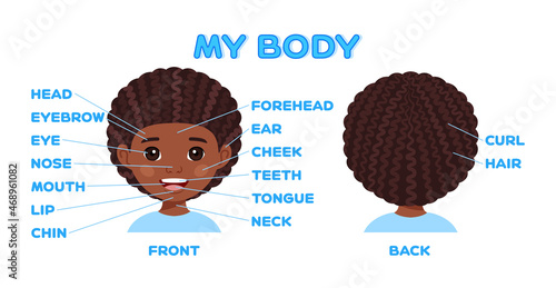 Name of Parts of Face. Afro Black Boy. Front Back View. Education for Little Children. Worksheet for an Anatomy Lesson. Flat Cartoon Style. White background. Poster. Illustration for Printing. Vector.