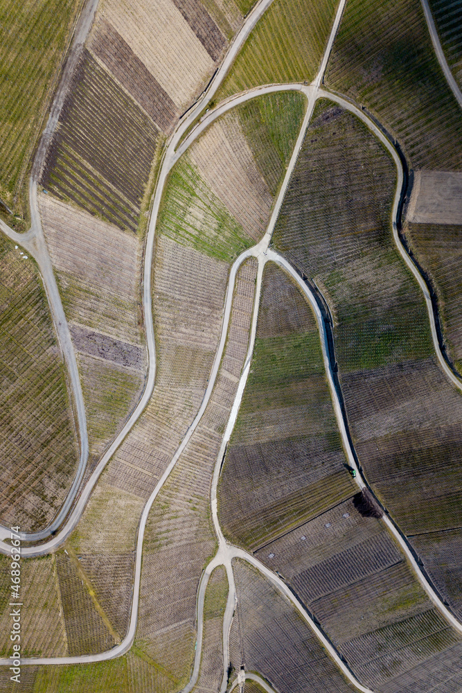 Vinyeard aerial Vinyeard aerial