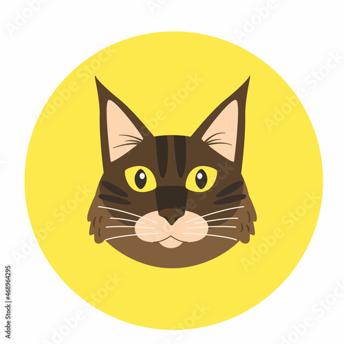Avatar of main coon. Cartoon funny cat. Vector flat cat portrait.