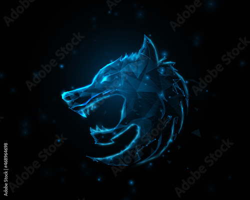 Fox head logo symbol. Low polygon line, triangles design. Vector  illustration