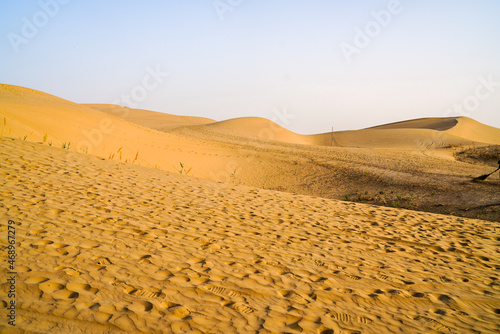 Sunny day desert golden sand dunes