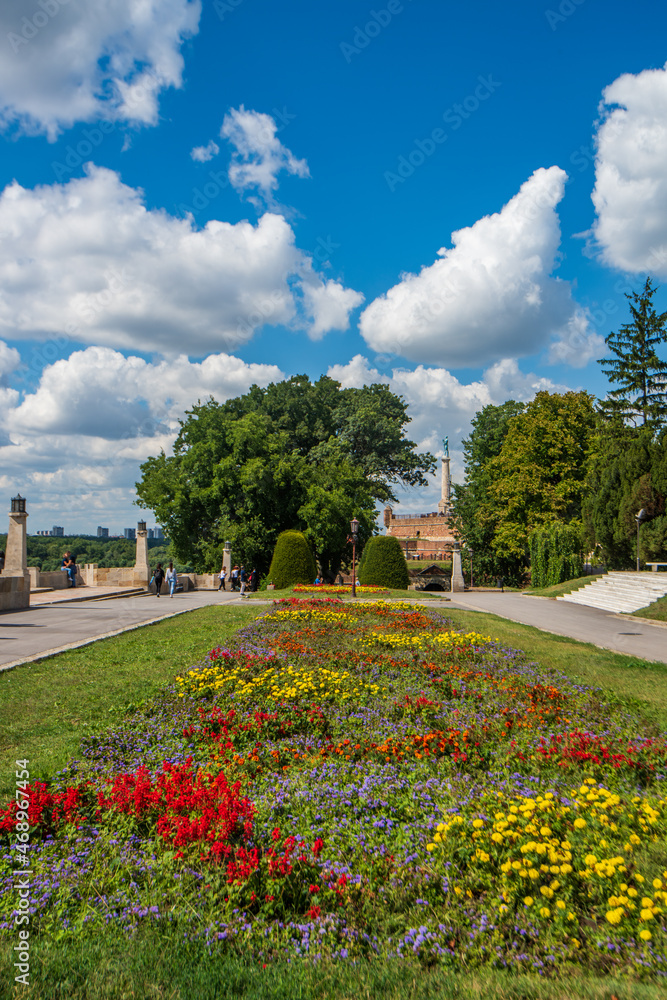 Fototapeta premium park in the city