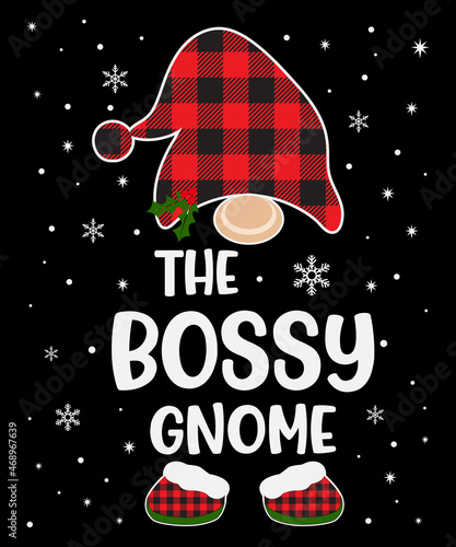 The Bossy Gnome