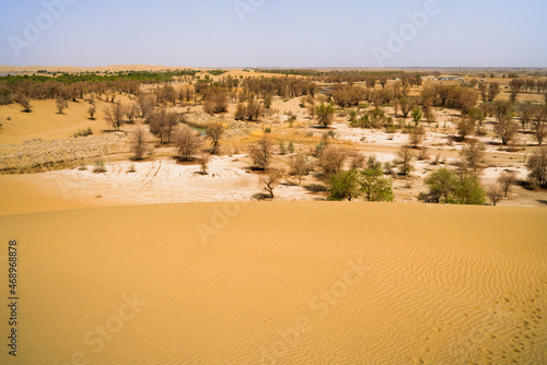 Desert oasis, dune grove center lake © Brekke