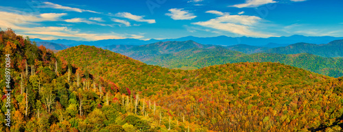 North Carolina Fall