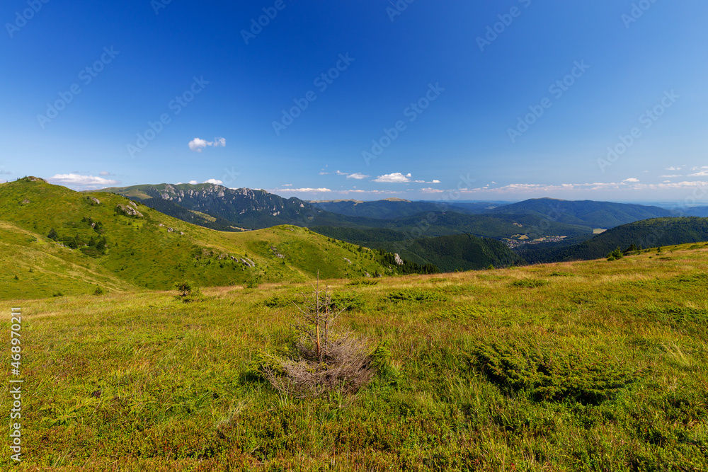 Green plateau in Ciucas mountain in Romania on a beautiful summer day