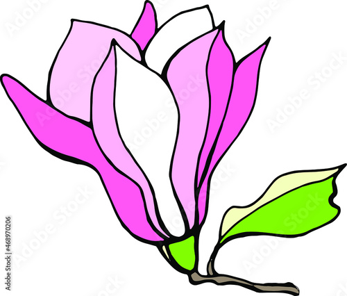 Wallpaper Mural Magnolia flower. Hand drawn illustration. Vector clipart Torontodigital.ca