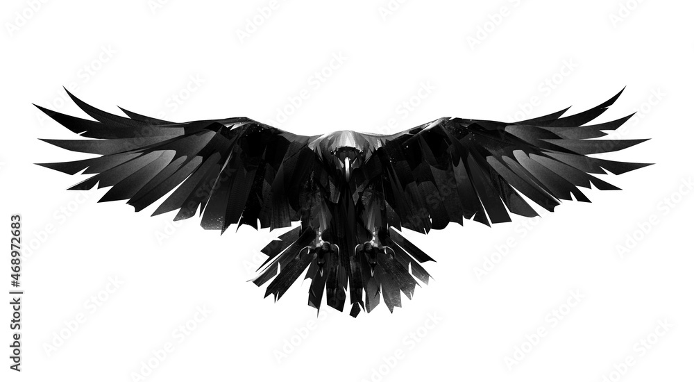 Obraz hand drawn raven bird in front on white background