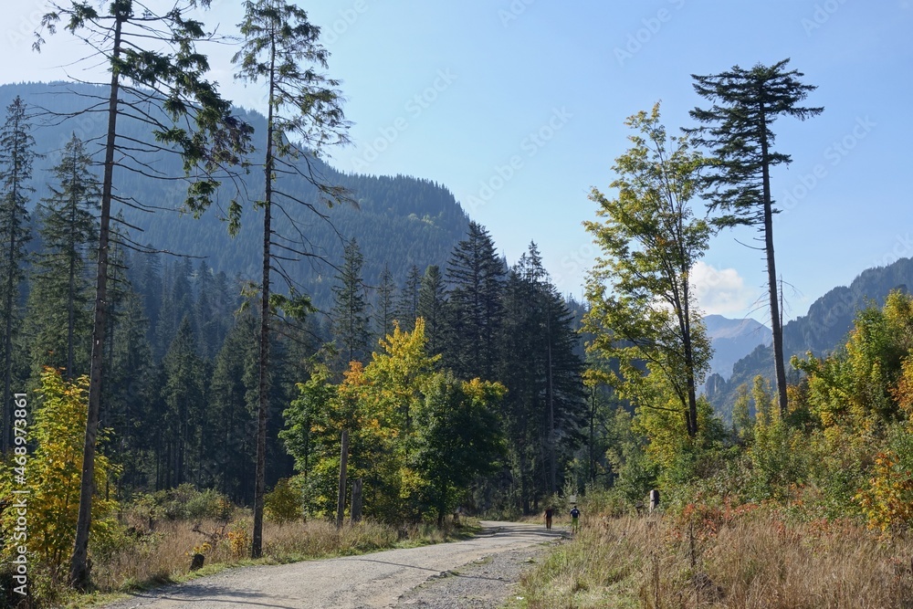 Zakopane, dolina Koscieliska. Zakopane, dolina Koscieliska.